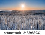 Winter wonderland in Finnish Lapland. Winter landscape from Riisitunturi National Park, Posio, Finland