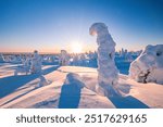 Winter wonderland in Finnish Lapland. Winter landscape from Riisitunturi National Park, Posio, Finland