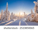 Winter wonderland in Finnish Lapland. Winter landscape from Riisitunturi National Park, Posio, Finland