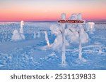 Winter wonderland in Finnish Lapland. Winter landscape from Riisitunturi National Park, Posio, Finland