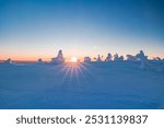 Winter wonderland in Finnish Lapland. Winter landscape from Riisitunturi National Park, Posio, Finland