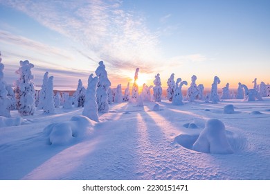 Winter wonderland in Finnish Lapland. Winter landscape from Riisitunturi National Park, Posio, Finland - Shutterstock ID 2230151471