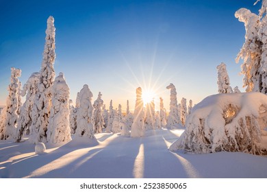 Winter wonderland in Finnish Lapland. Winter landscape from Riisitunturi National Park, Posio, Finland - Powered by Shutterstock