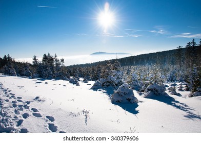 Winter Wonderland In The Harz, Germany