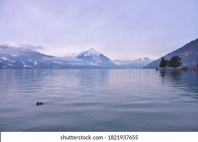 Winter Wonderland In Interlaken Switzerland