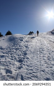 Winter Wonderland In  The Jura Mountains