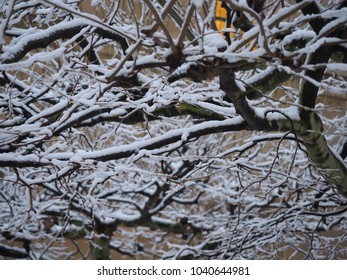 Winter Wonderland Munich Residenz 