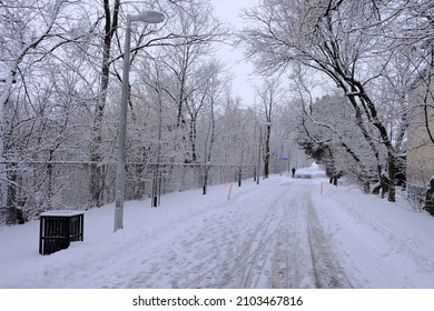 Winter wonderland on the cycle  foot path (Trillium Pathway) just north of Beech St, Ottawa, Ontario, Canada. - Shutterstock ID 2103467816