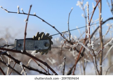 Winter wonderland on an Iowa vineyard 