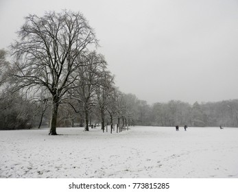 Winter Wonderland, Snow In Falling In The Park