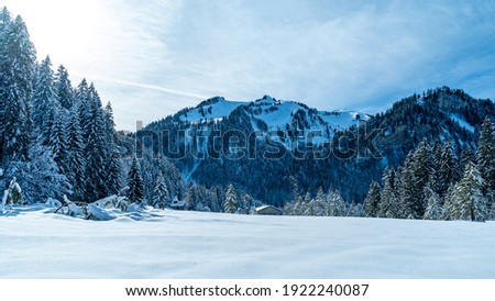 Winter wonderland with snowy chapel on a alpine farmland. snowy trees and snow covered fields the Austrian mountains. Alps of Vorarlberg in the Bregenz forest. sunny day with veil clouds