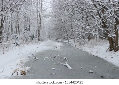 Winter Woods In Nebraska