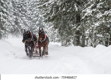 Winter In Zakopane POLAND