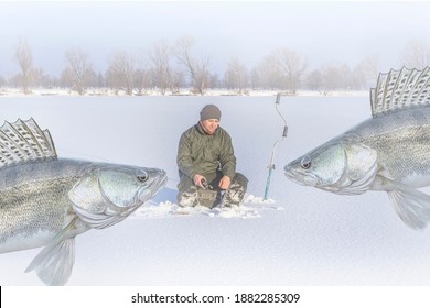 Winter Zander Fishing. Fisherman Catching Walleye Fish On Snowy Ice At Frozen Lake On Blurred Pikeperch Background. Soft Focus