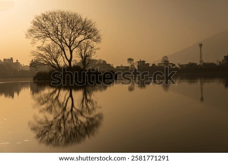 Similar – Image, Stock Photo bare tree reflected in blue lime lake, former limestone quarry