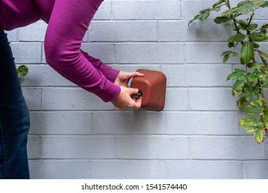 Winterization, woman’s hands installing foam and plastic faucet cover to prevent pipes freezing, on a blue gray painted brick wall, rose plants
