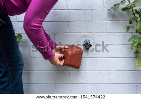 Winterization, woman’s hands installing foam and plastic faucet cover to prevent pipes freezing, on a blue gray painted brick wall, rose plants
