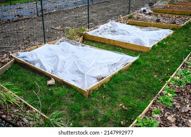 Winterized Kitchen Garden, Raised Planting Bed Covered With Clear Plastic For Weed Prevention
