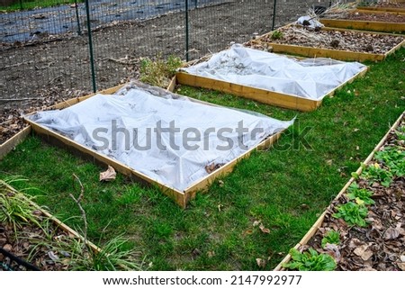 Winterized kitchen garden, raised planting bed covered with clear plastic for weed prevention
