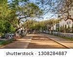 Winterl landscape of boulevard Rothschild, the most prestige and luxury area in Tel Aviv.