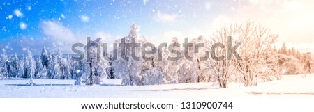 Winterlandscape of Black Forest near Schliffkopf, Germany 
