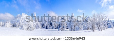 Winterlandscape of Black Forest near Schliffkopf, Germany 