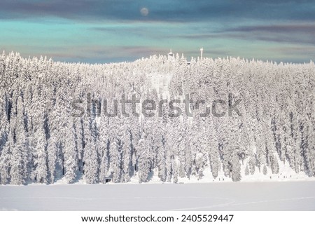 Winterlandscape Mummelsee (Lake), Black Forest, Germany 