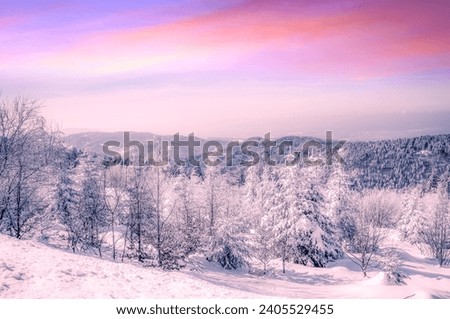 Winterlandscape near Schliffkopf, Black Forest, Germany 