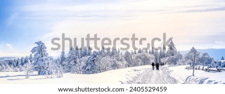 Winterlandscape near Schliffkopf, Black Forest, Germany 