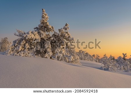 Winterlandscape at sunset, making the sky colorfull with nice warm color, Gällivare county, swedish Lapland, Sweden
