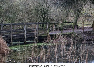 A Winters Day At Queen Elizabeth’s Country Park