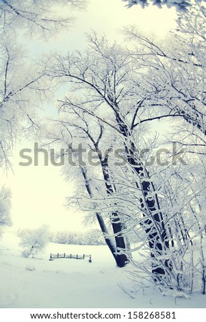 Similar – Image, Stock Photo chill Nature Landscape