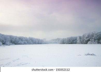 Winter's Tale. wood and the moon - Powered by Shutterstock