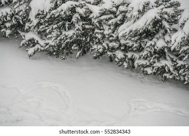 wintertime