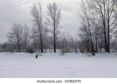 wintertime
