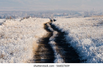 Wintertime Image Of Dirt Road Leading Towards A Rural Town In Montana. Sides Of The Road Is Skirted With Prairie Grasses Coated In Thick Hoar Frost. Scene  Brightly Lit From Rays Of The Setting Sun