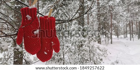Wintertime, winter forest concept. Red mittens hanging on a branch in winter forest. Selective focus.