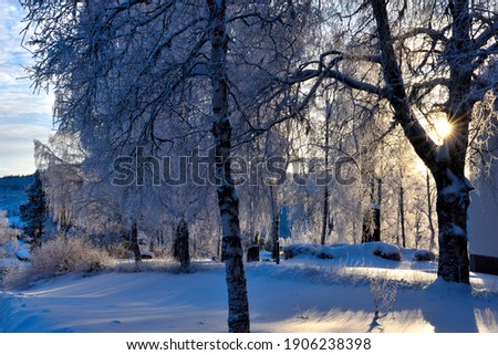 A winterview from a graveyard
