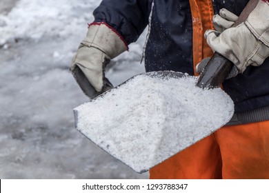 Winter.Worker Spreading Salt On Icy Sidewalk