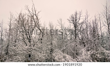 Similar – grau Wetter Winter