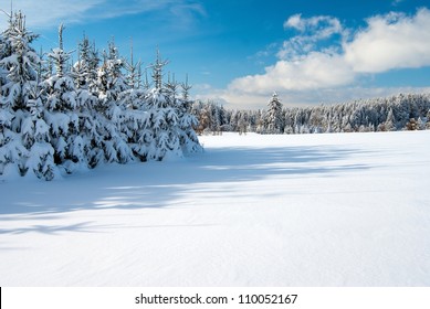 wintry landscape scenery with flat county and woods