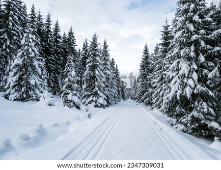 wintry landscape scenery with modified cross country skiing way 