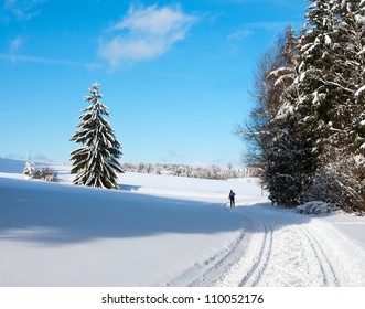 Wintry Landscape Scenery With Modified Crosscountry Skiing Way