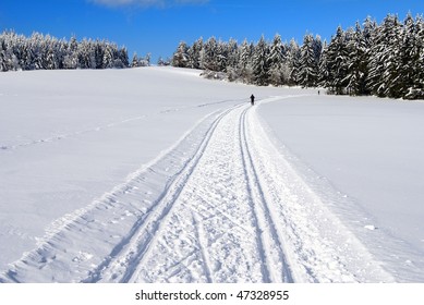 Wintry Landscape Scenery With Modified Crosscountry Skiing Way