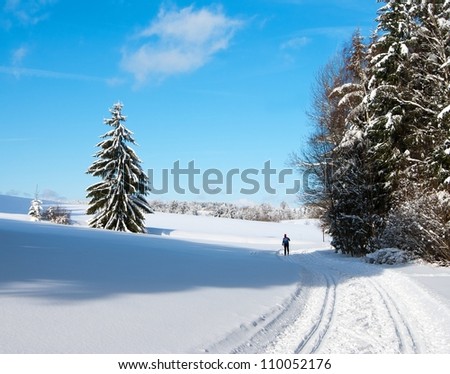 wintry landscape scenery with modified crosscountry skiing way
