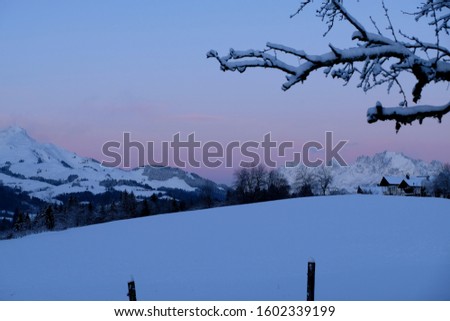 Wintry landscape and snow capped Kitzbueheler Horn and Karstein Austrian Alps during morning twilight. Bright red pink sky but dark grey ground.
Snow covered leafless branches foreground.