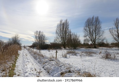 Wintry landscape with snow-covered fields and country lane - Shutterstock ID 1917869966