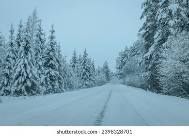 A Wintry Path Through a Chilly Forest with Snow Covered Trees. Winter road through snowy forest, tree lined and cold temperature.