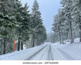 Wintry road in the forest