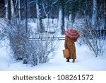 Wintry walk